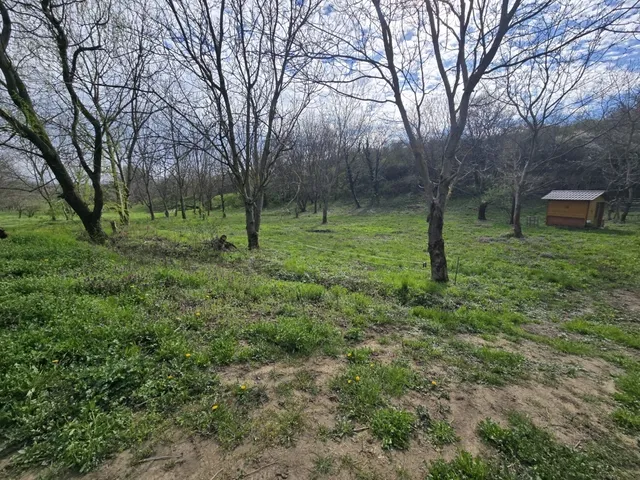 Eladó mezőgazdasági ingatlan Hosszúhetény 94 nm