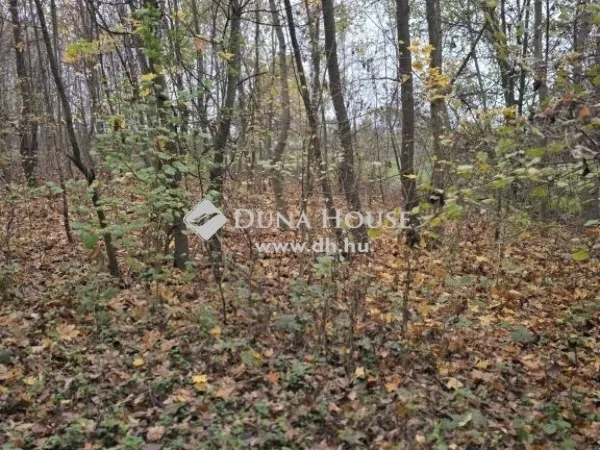 Eladó telek Pécs, Málom 3238 nm