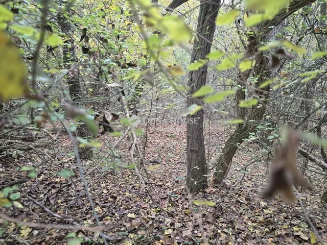 Eladó telek Pécs, Málom 3238 nm