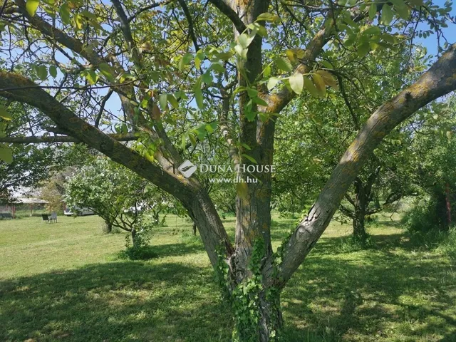 Eladó ház Nyugotszenterzsébet 40 nm