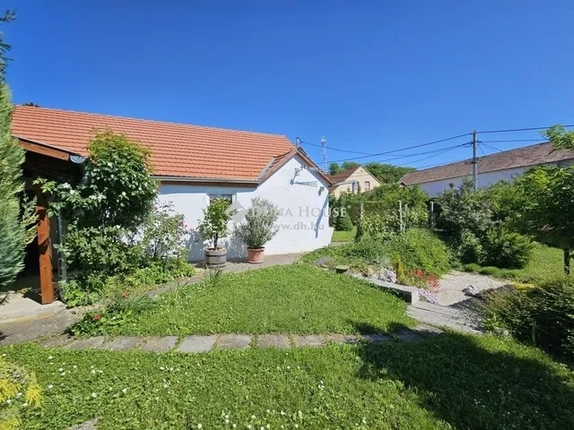 Eladó ház Villány 125 nm