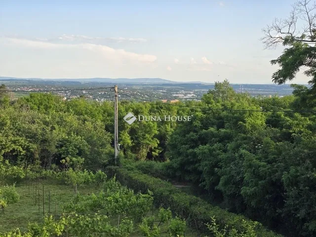 Eladó üdülő és hétvégi ház Pécs 31 nm