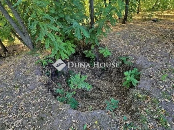 Eladó ház Pécs, Patacs 43 nm