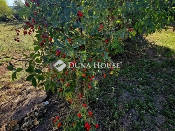 Eladó ház Pécs, Patacs 43 nm