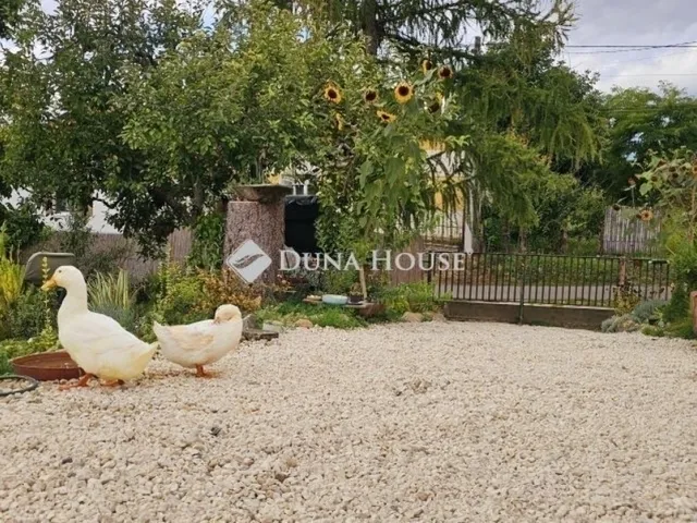 Eladó ház Baksa 100 nm