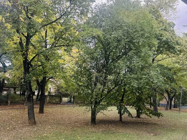 Eladó lakás Pécs, Uránváros 27 nm