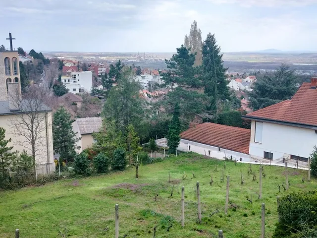 Eladó ház Pécs, Mecsekoldal 298 nm