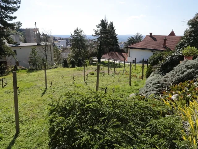 Eladó ház Pécs, Mecsekoldal 298 nm