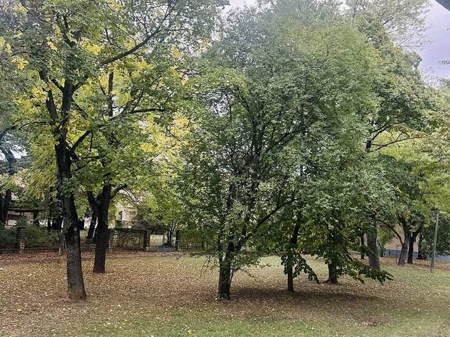 Eladó lakás Pécs, Uránváros 57 nm