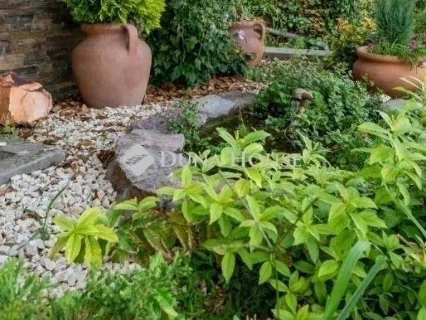 Eladó ház Pécs, Havihegy 300 nm