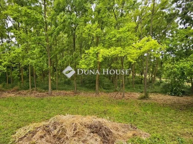 Eladó ház Dunaszekcső 128 nm