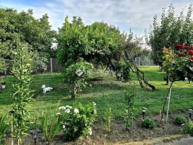 Eladó ház Kővágószőlős 104 nm