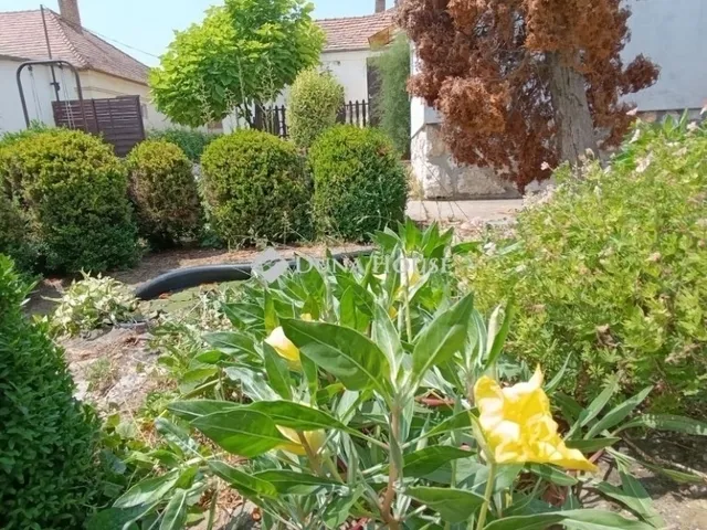 Eladó ház Bóly 181 nm