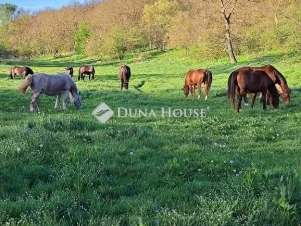 Eladó mezőgazdasági ingatlan Egerág 178 nm