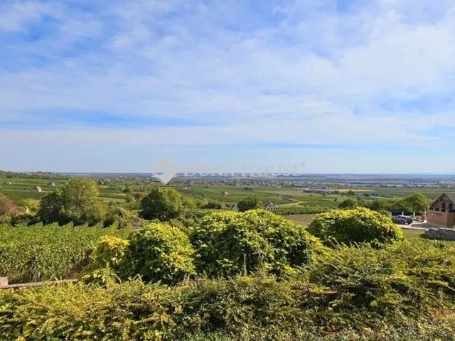 Eladó ház Nagyharsány 209 nm