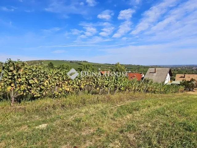Eladó ház Nagyharsány 209 nm