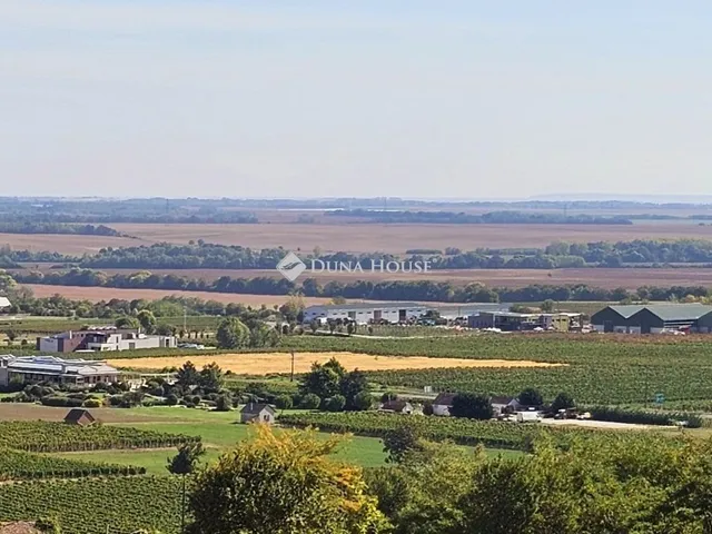 Eladó telek Villány 18661 nm