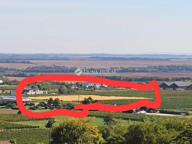 Eladó telek Villány 18661 nm