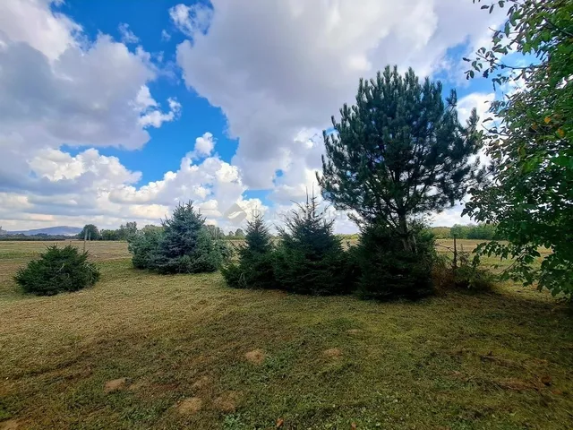 Eladó ház Kásád 84 nm