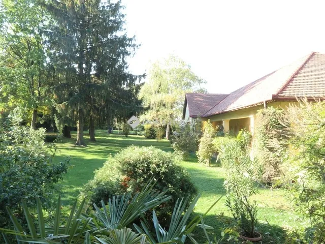 Eladó ház Pécsvárad 618 nm