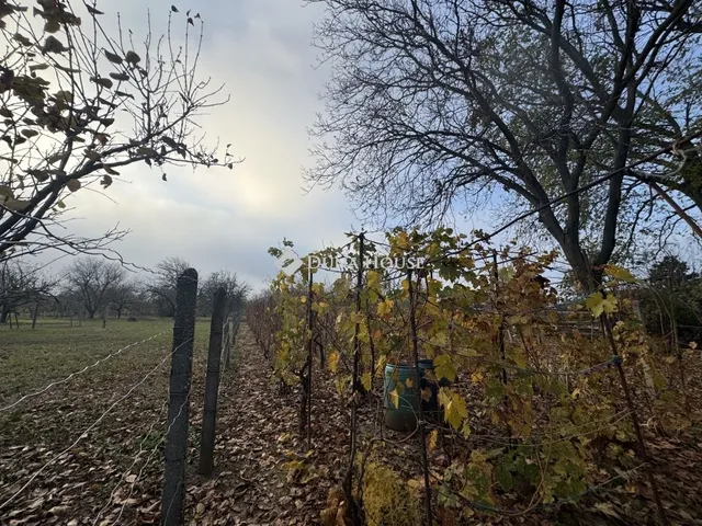 Eladó ház Pécs, Újhegy 30 nm