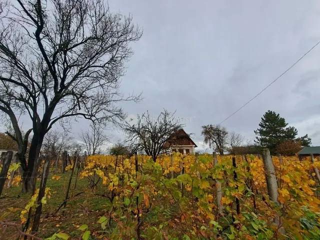 Eladó ház Bár 55 nm