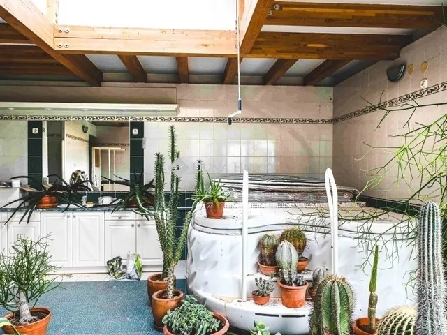 Eladó ház Pécs, Ledina 300 nm