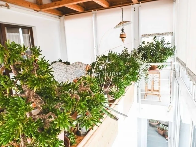 Eladó ház Pécs, Ledina 300 nm