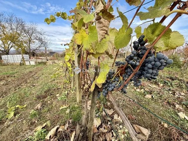 Eladó telek Keszü 3233 nm