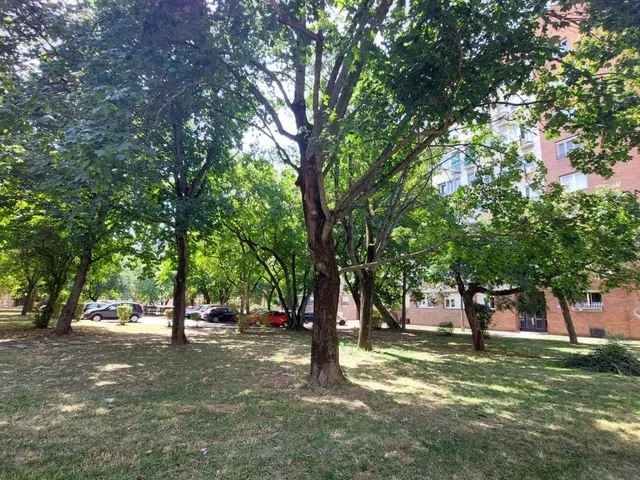 Eladó lakás Pécs, Uránváros 61 nm