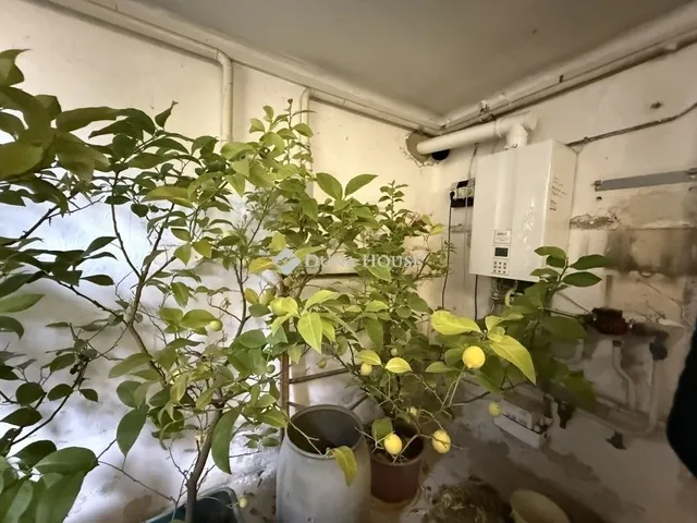 Eladó ház Pécs, Belváros 120 nm