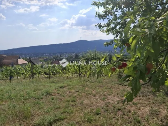 Eladó telek Pécs 1096 nm