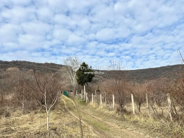 Eladó telek Siklós 3396 nm