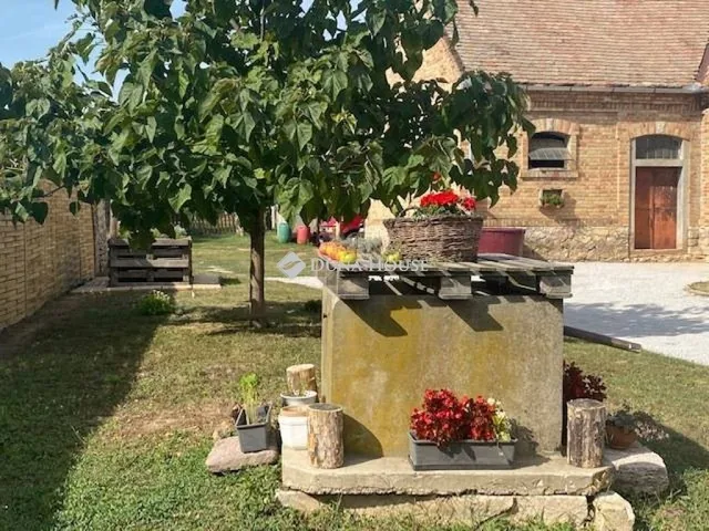 Eladó ház Szőke 160 nm