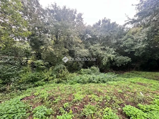 Eladó telek Cserkút 30000 nm