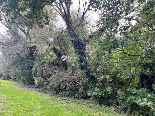 Eladó telek Cserkút 30000 nm