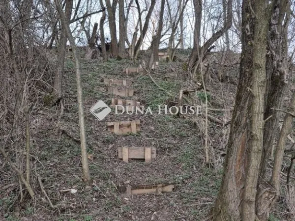 Eladó telek Kozármisleny 830 nm