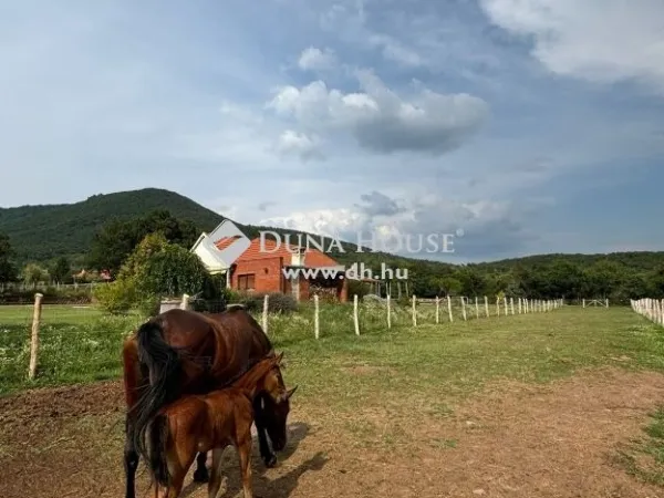 Eladó ház Cserkút 180 nm