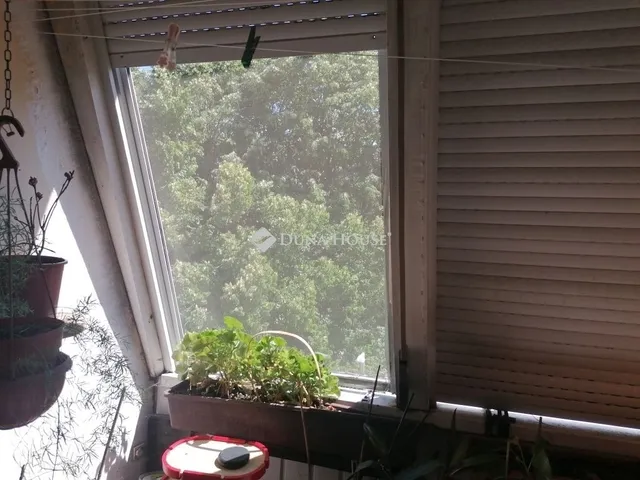 Eladó lakás Pécs 59 nm