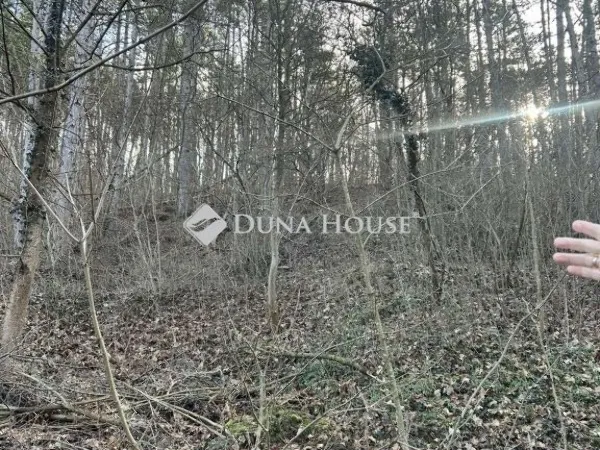 Eladó telek Pécs 1657 nm