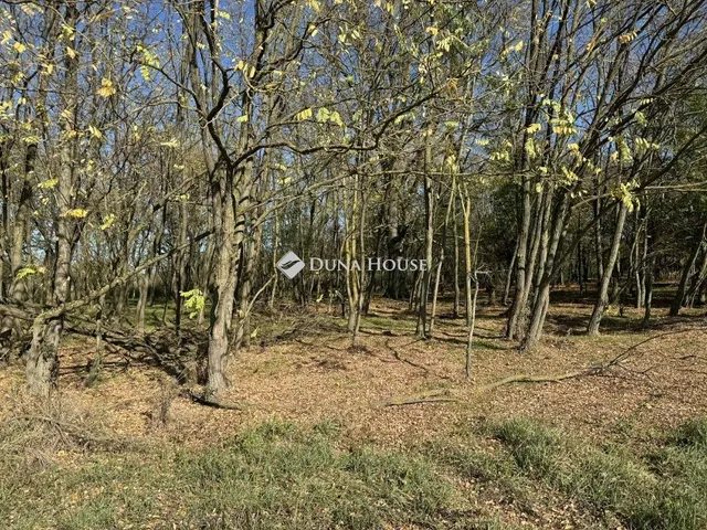 Eladó mezőgazdasági ingatlan Harkány 14773 nm