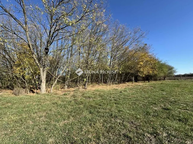 Eladó mezőgazdasági ingatlan Harkány 14773 nm