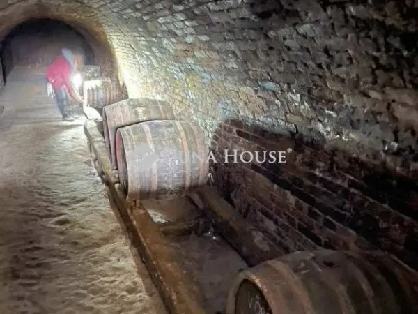 Eladó mezőgazdasági ingatlan Hásságy 50 nm