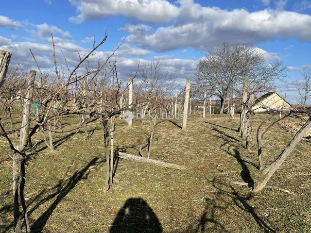 Eladó mezőgazdasági ingatlan Hásságy 50 nm