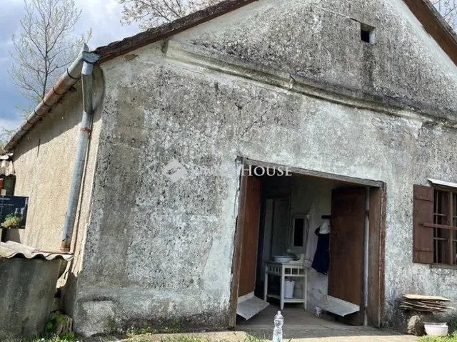 Eladó mezőgazdasági ingatlan Hásságy 50 nm