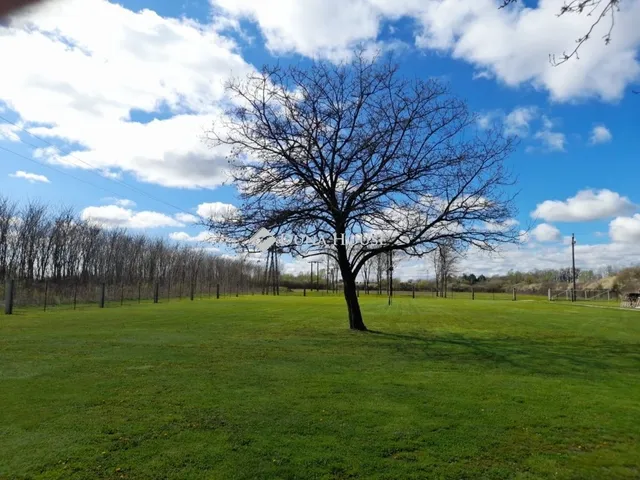 Eladó mezőgazdasági ingatlan Szigetvár 165 nm