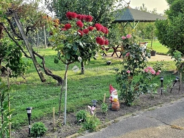 Eladó ház Kővágószőlős 104 nm