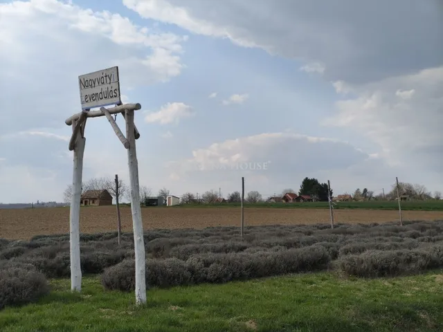 Eladó telek Nagyváty 1459 nm
