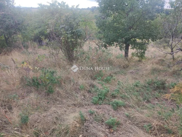 Eladó telek Kővágószőlős 4576 nm