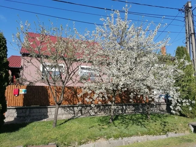 Eladó ház Komló 95 nm
